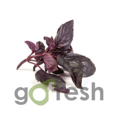 Busuioc roșu  1buc.